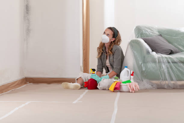Reliable Commercial Mold Remediation contractor in Riverdale, NJ by WQB Mold Removal